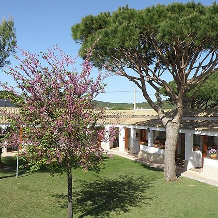 Hostal Las Acacias Los Canos De Meca Exteriér fotografie