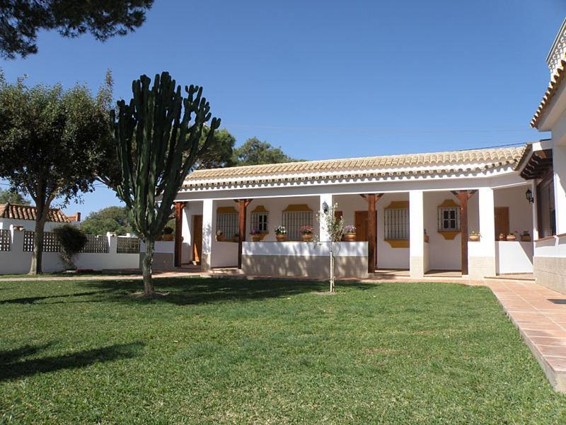 Hostal Las Acacias Los Canos De Meca Exteriér fotografie
