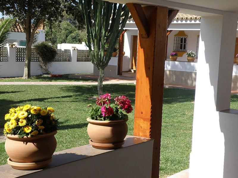 Hostal Las Acacias Los Canos De Meca Exteriér fotografie