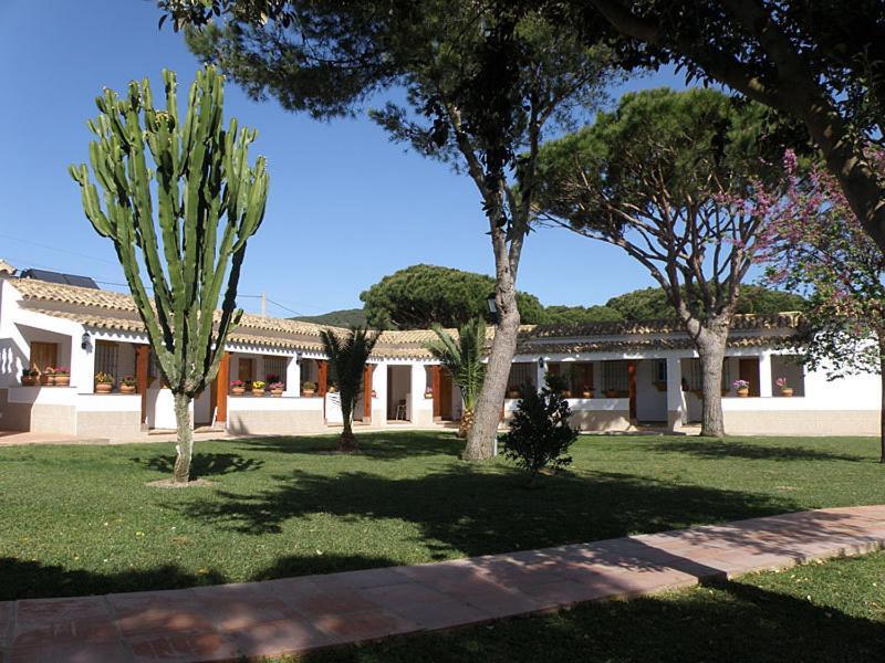 Hostal Las Acacias Los Canos De Meca Exteriér fotografie
